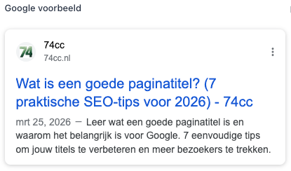 voorbeeld van hoe een Google zoekresultaat er uit ziet